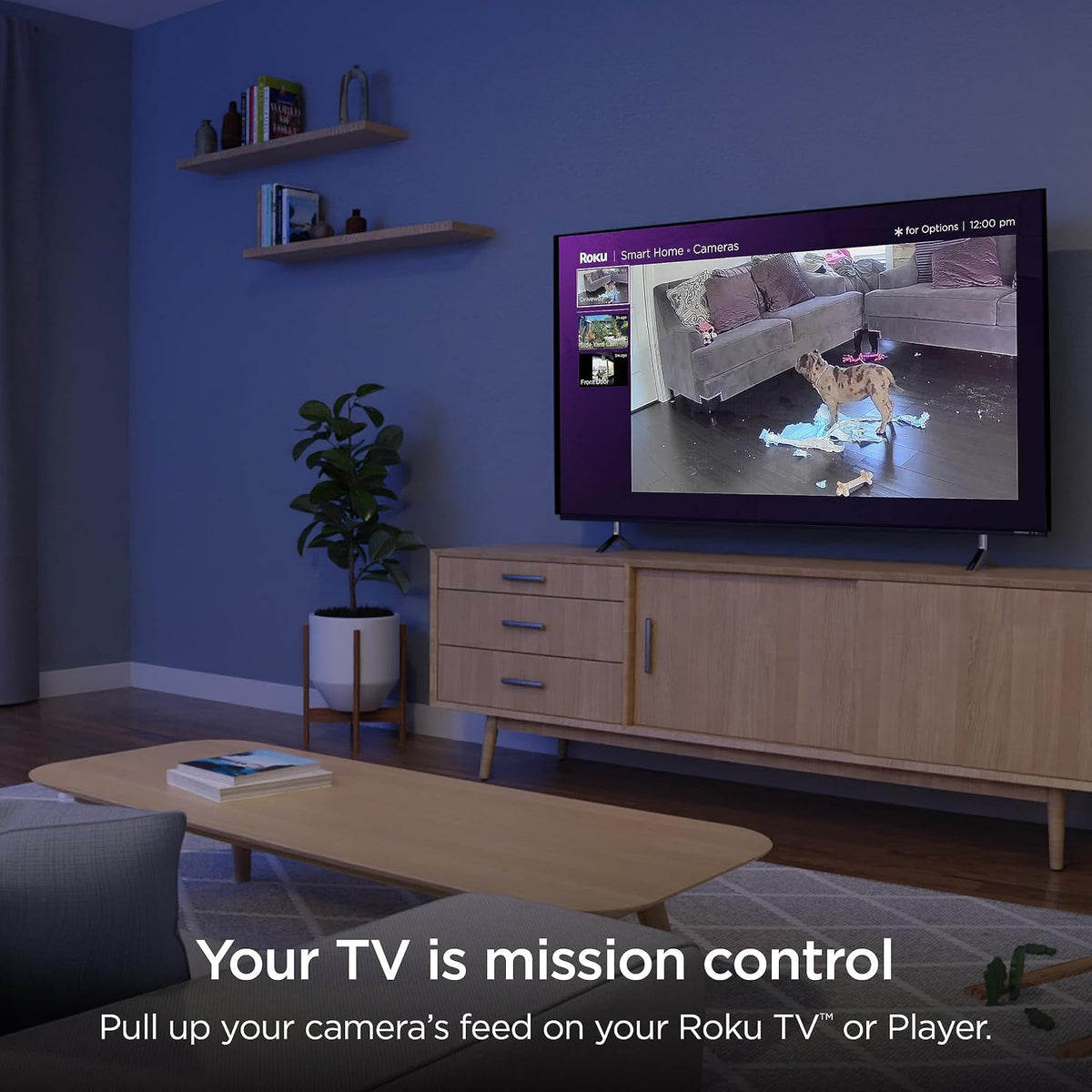 Roku CS1000R Smart Home Indoor Camera SE - Wired Security Camera with Motion & Sound Detection (Renewed)