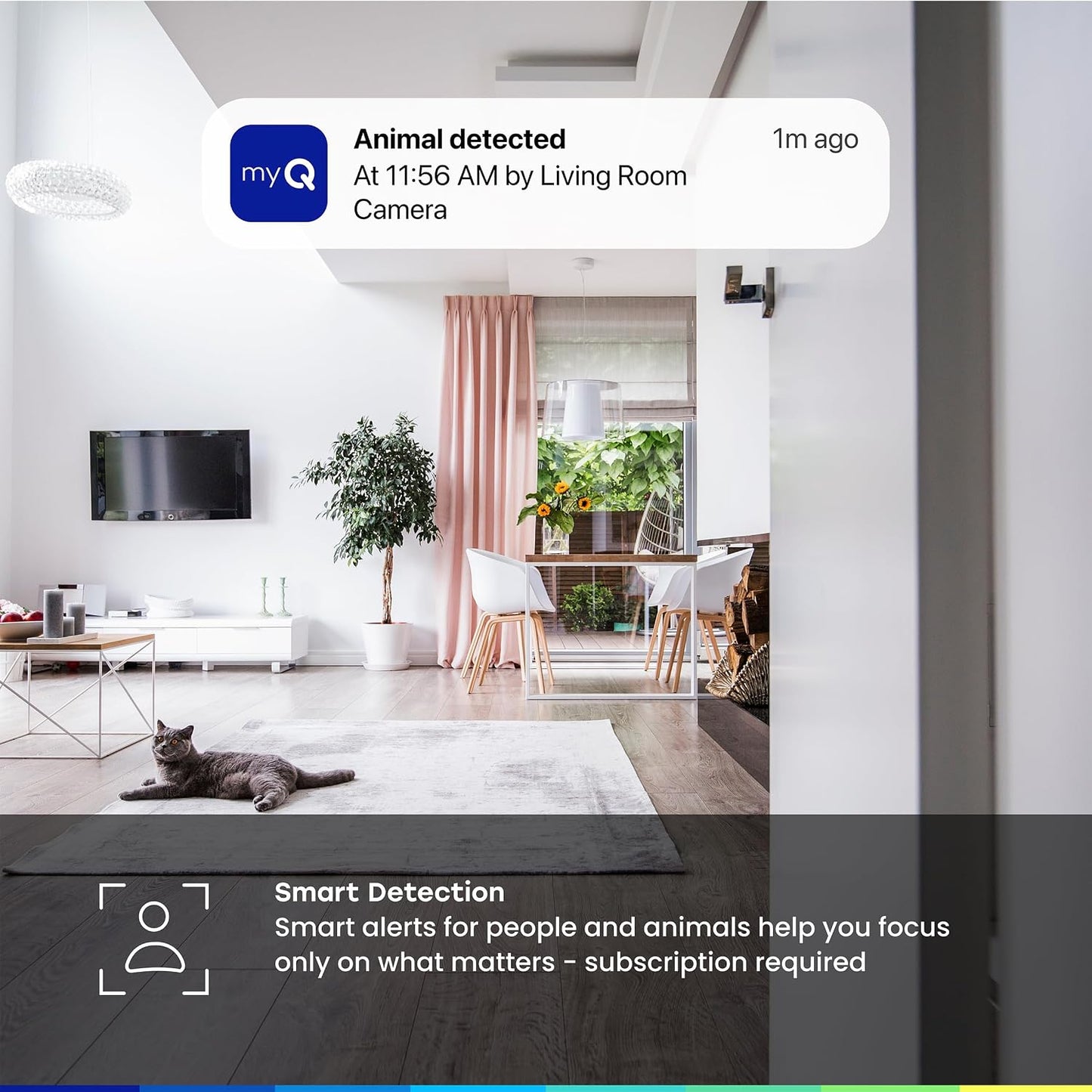 myQ Indoor Plug-in Security Camera Gen 2 – 2K Smart Wi-Fi Camera with Night Vision, Baby and Pet Monitor, Motion Detection and Alerts, 2-Way Audio & App Control