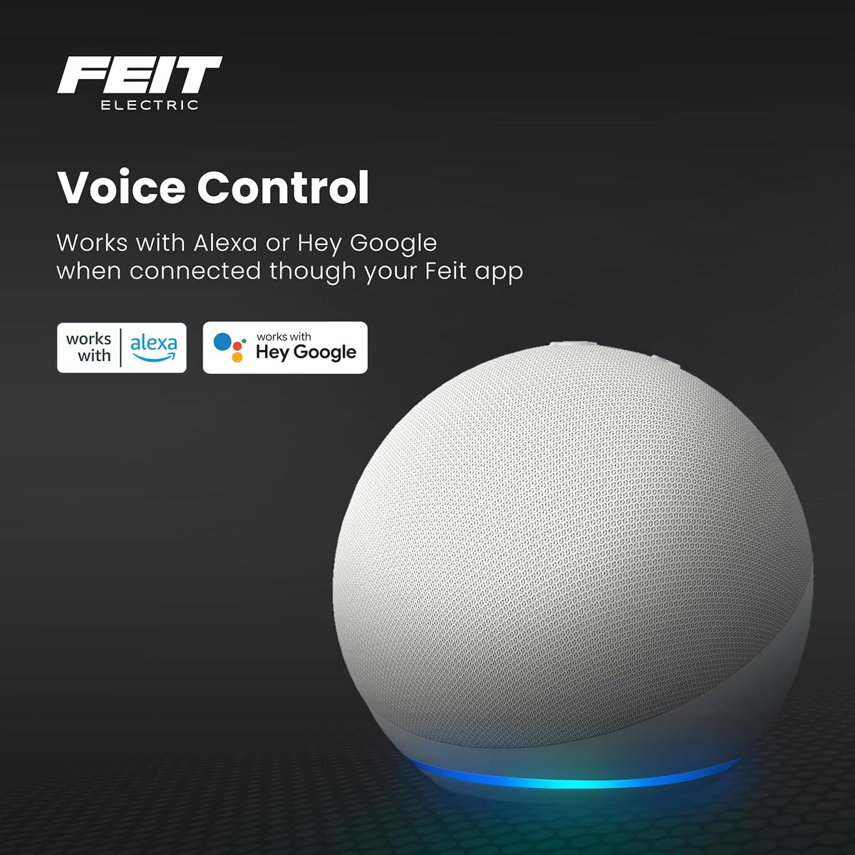 Feit Electric Smart Wi-Fi Plug, Compatible with Alexa and Google Home