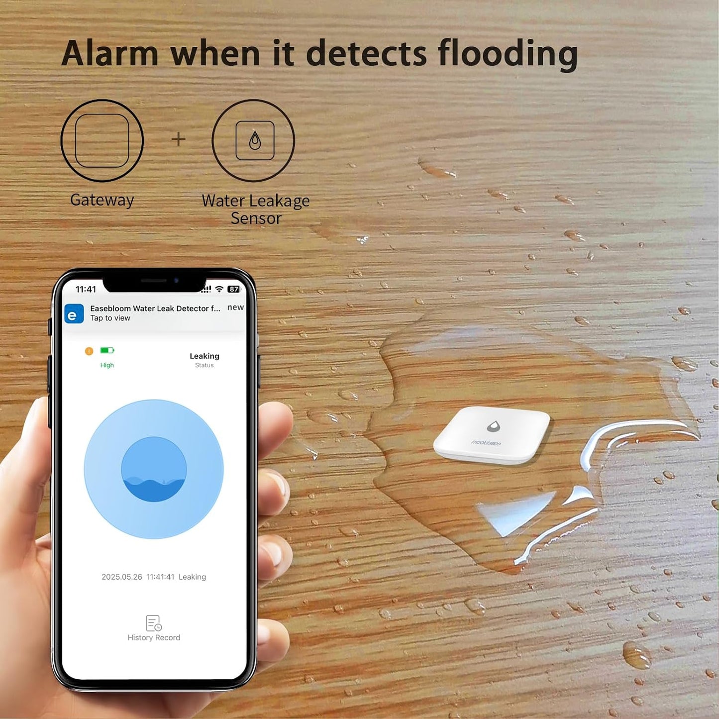 Water Leak Detector for Home, Hub & Mini Sensor 4-Pack | App Notifications, For Kitchen/Bathroom, Smart Water Leak Sensor