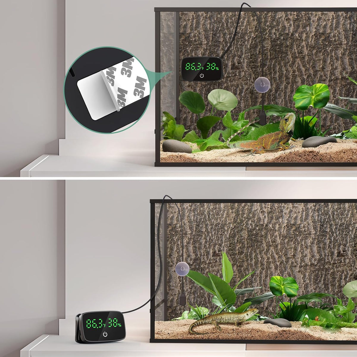 PAIZOO LED Digital Reptile Thermometer and Humidity Gauge with USB Charging