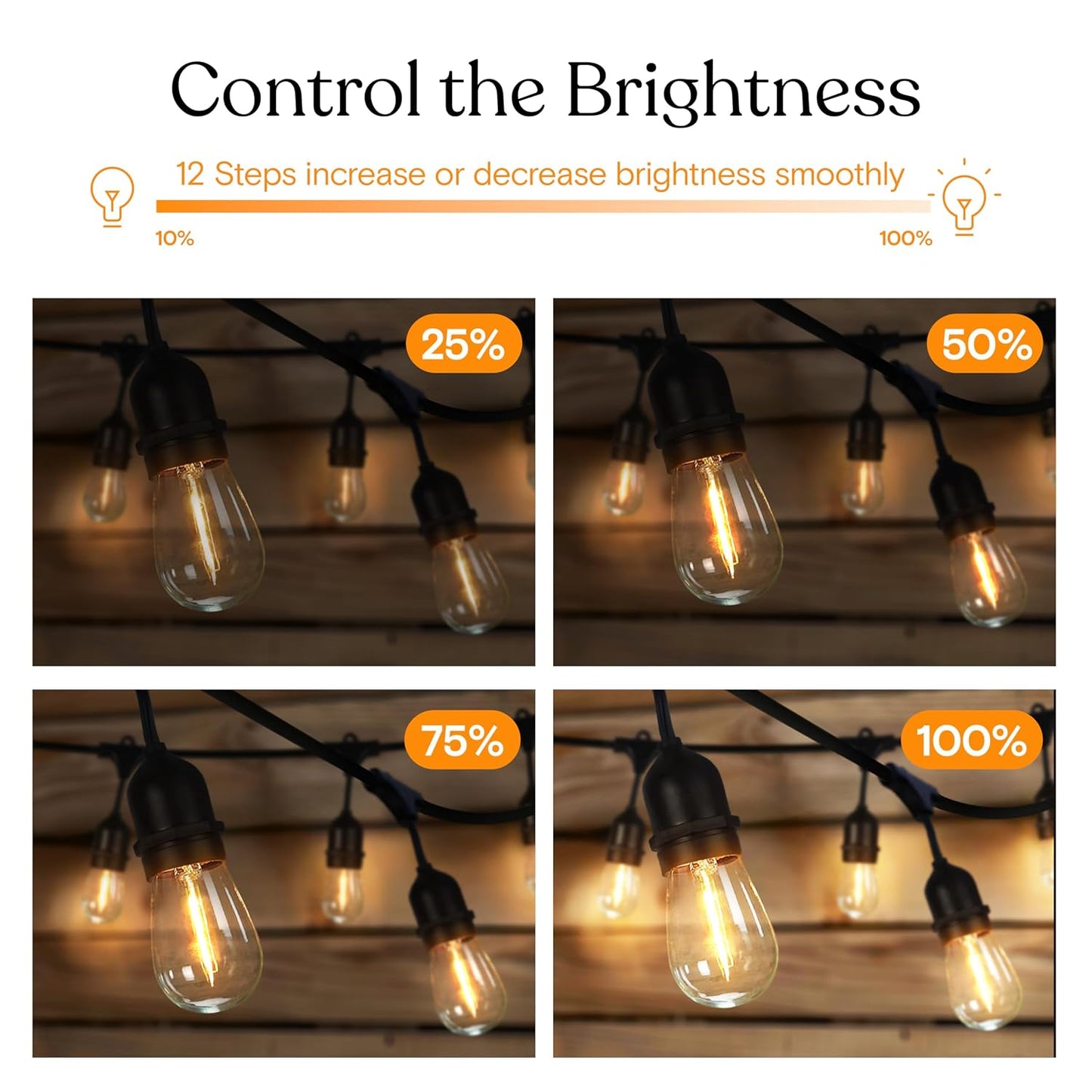 Brightech Smart Dimmer Plug for LED Outdoor String Lights, Comes with Remote Control, Works Up to Max Power 150W, Waterproof Commercial Grade Dimmer for Dimmable String Lights